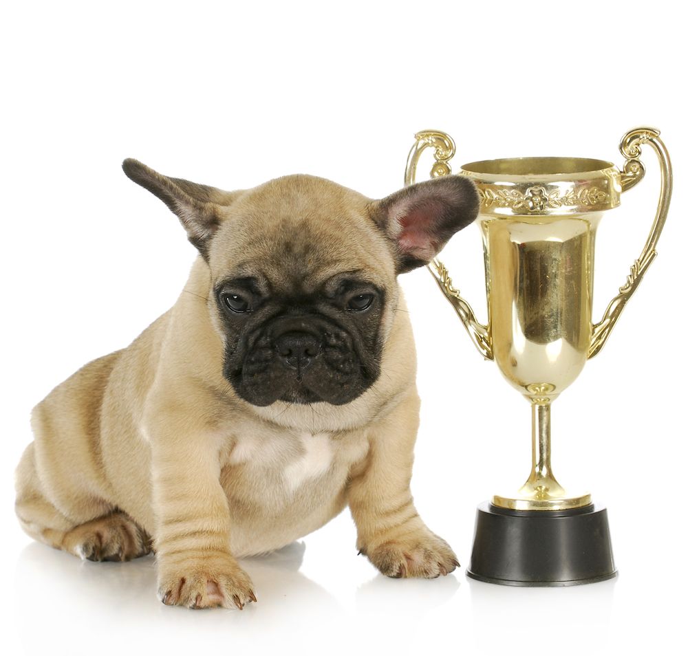 Editorial: October 14, 2022